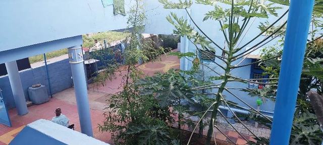 Green courtyard — TNG Senior Citizens Home, Coimbatore