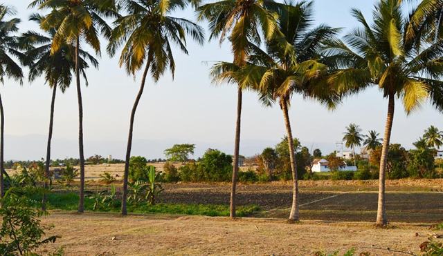 Peaceful green surroundings — TNG Senior Citizens Home, Coimbatore